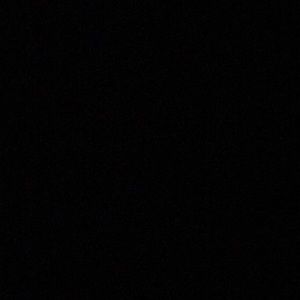 Meet your Posher, Kurtis